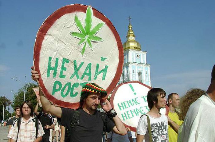 вопрос о легализации марихуаны в россии