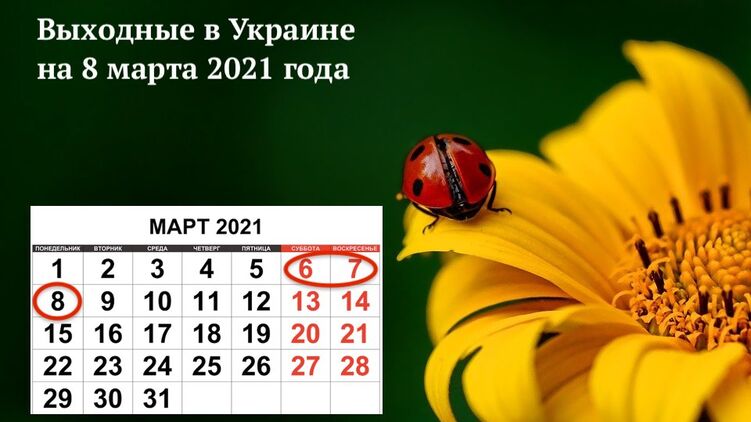 8 марта 2021 Украина